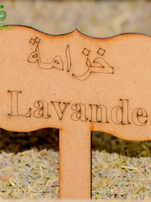 1690973052lavande-800 Lavande