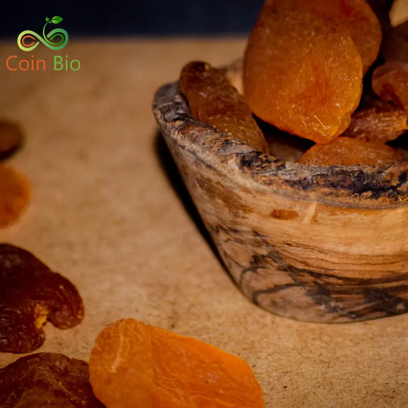 1692712735abricot-seche