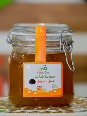 Miel de Harmel (genévrier)