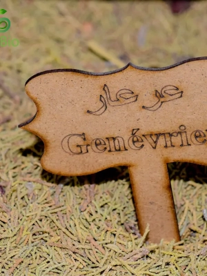 1695206293genevrier-800 Genévrier séché