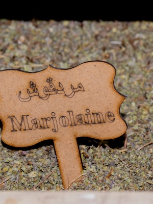Marjolaine séchée