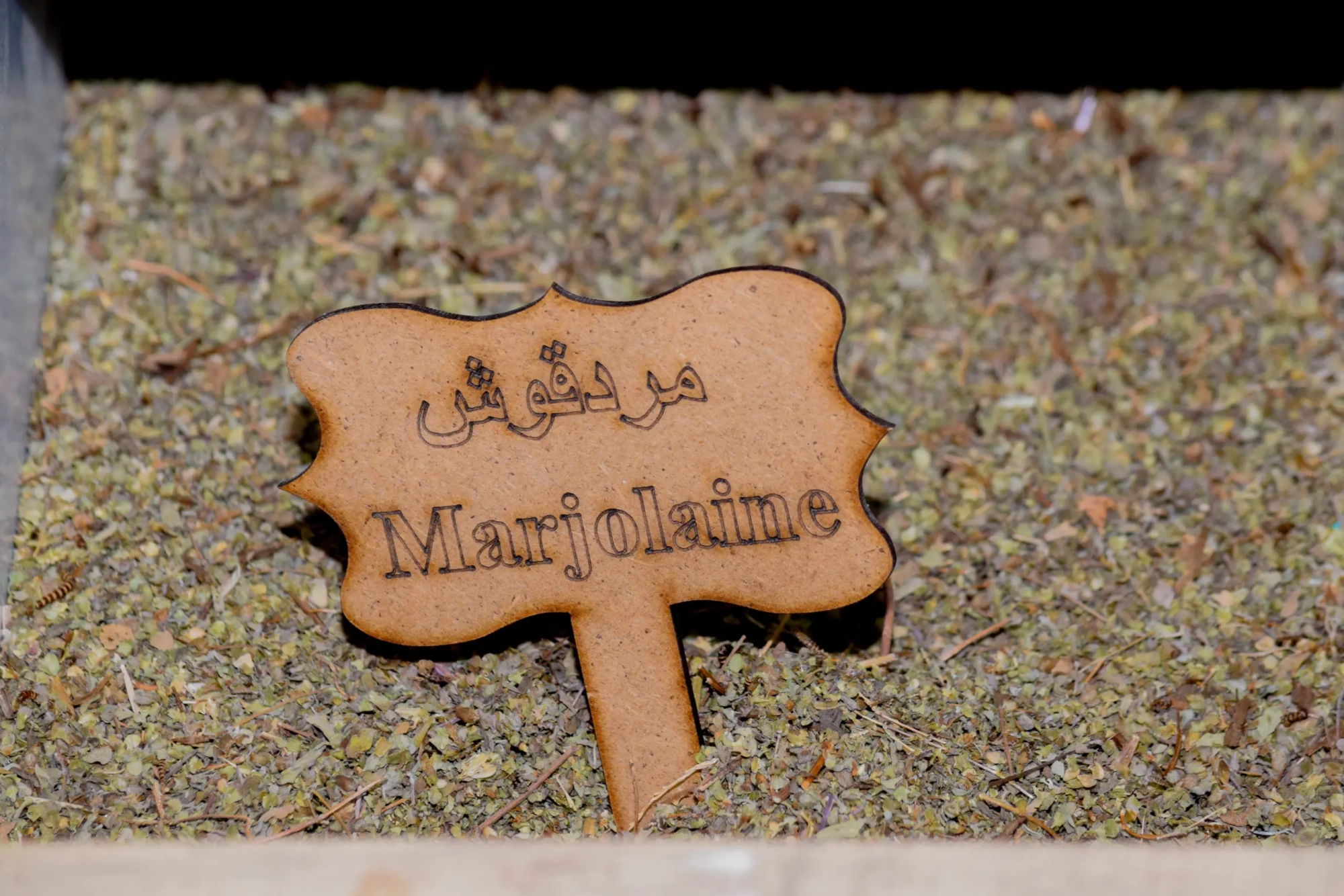 1695210299marjolaine