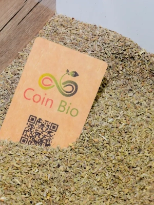 1695225132fenouil-800 Feuilles de Fenouil séchées