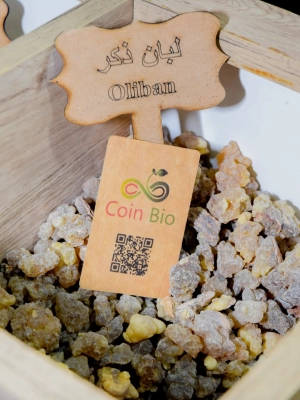 1695227907oliban Oliban