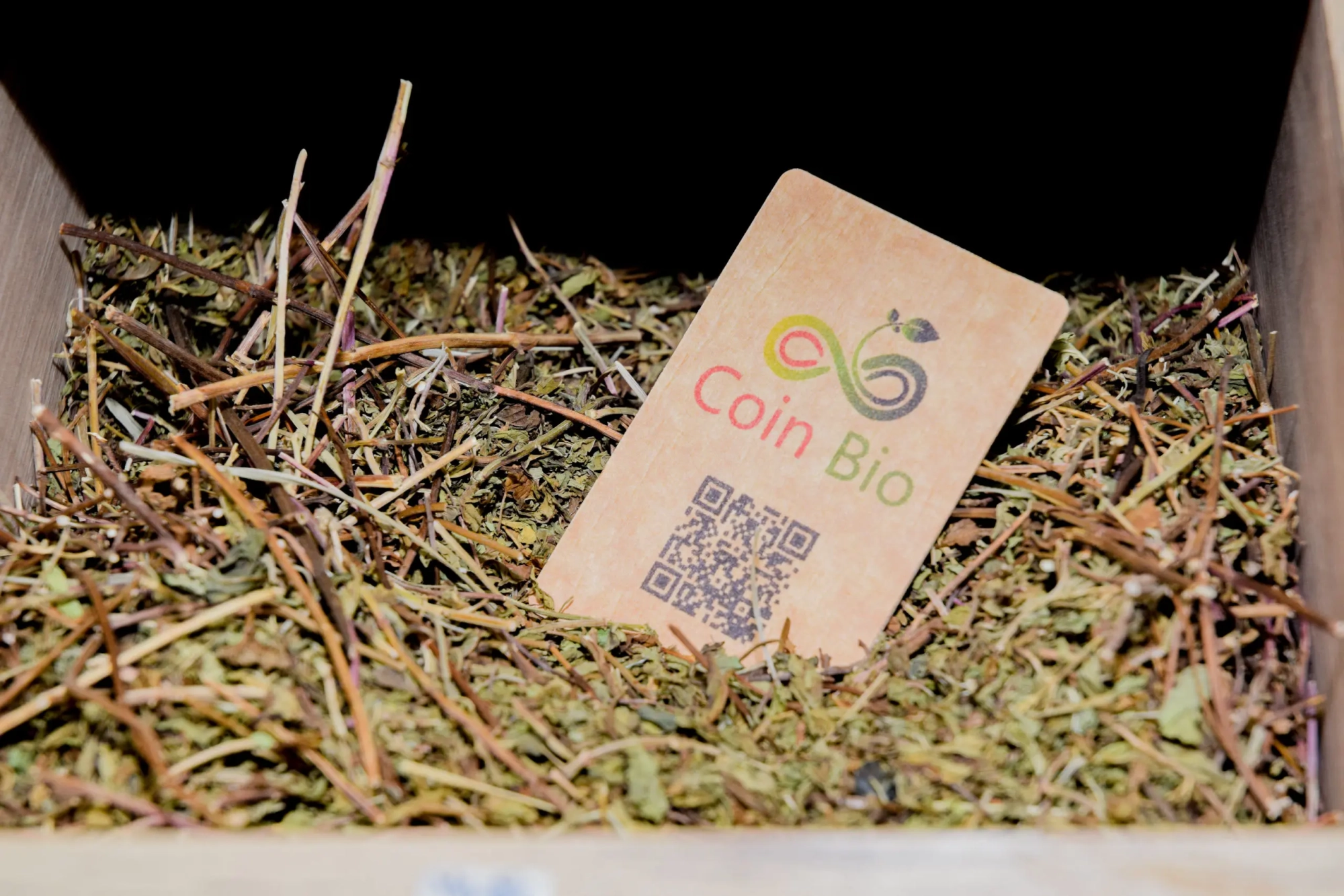 1695296148Menthe-sechee-en-vrac