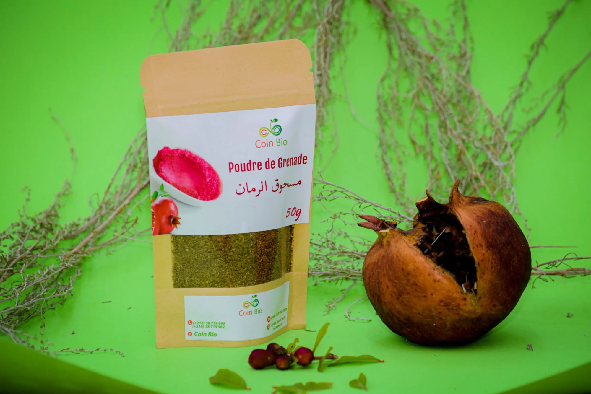 1695993443Poudre-de-grenadee