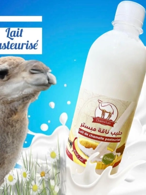 1697462112lait-chamelle-photo-1 Lait de Chamelle