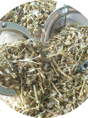 Sabline rouge Sabline rouge