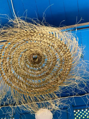 Nouveau projet (1) Nouveau projet (1)