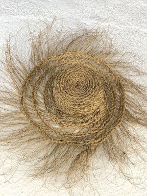 IMG_9160 (1) IMG_9160 (1)